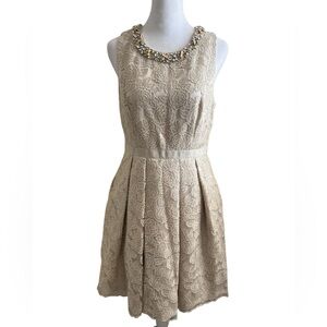 Eliza J Champagne Floral Lace Rhinestone Embellished Fit & Flare Mini Dress 6P